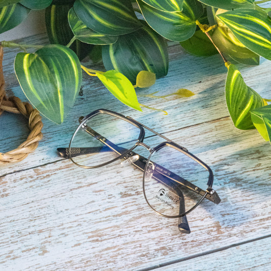 FrameFocus